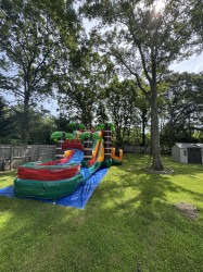 IMG 4594 1752758215 Wet/Dry Mega Tropical Bounce House Combo
